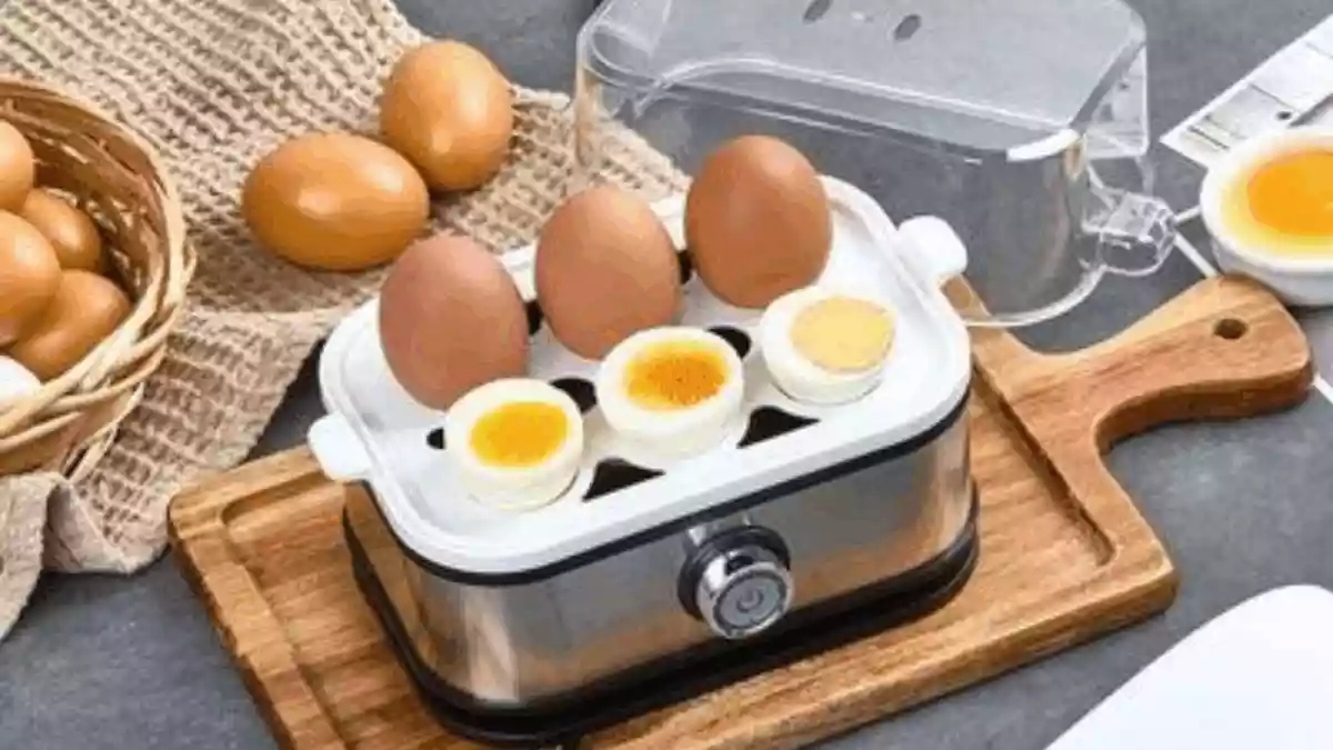 7 Best Egg Boilers Under Rs 800 For Perfectly Cooked Eggs Every Time