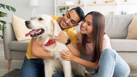 A 2022 survey by ManyPets shows that two out of five people prefer pet-related content over human posts. Influencers, hold your horses. It appears dogs are the latest trend in the market, and man’s favourite furry friend seems to be taking to the social life quite well. According to a 2022 survey by ManyPets, two out of five people are more interested in social media content related to pets compared to that of actual people. This provides an interesting new opportunity to create content by showcasing your dog’s tricks online and attract companies potentially interested in marketing their offerings via “pet influencers”.
