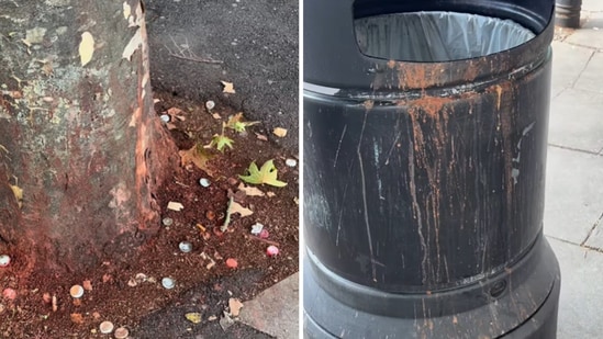 A video that shows paan stains on the streets of London has sparked backlash, with some people blaming migrant communities for the mess. Footage that has gone viral online shows red stains on dustbins and roads in the London borough of Harrow. According to a report in Harrow Online, the stains are especially noticeable in Rayners Lane and North Harrow. Residents of Rayners Lane district say that these stains have become more and more common – particularly outside shops and takeaway restaurants that sell gutka and chewing tobacco products.