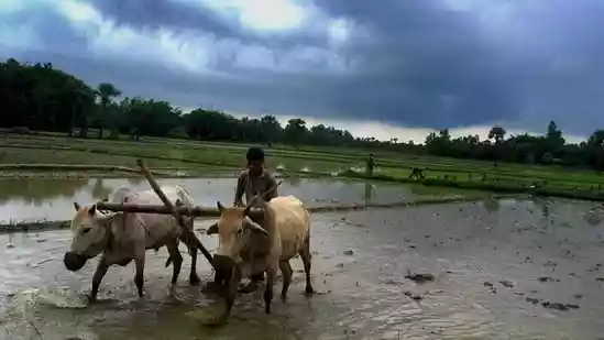 AI models ace their predictions of India’s monsoon rains