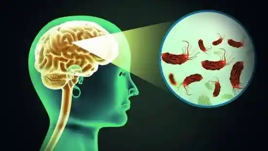 AIIMS-trained neurologist shares how to protect your brain from worm infections