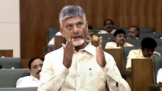 Andhra Pradesh chief minister N Chandrababu Naidu on Tuesday blamed