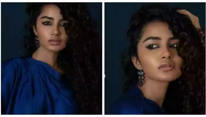 Anupama Parameswaran Takes Legal Action Against 20-Year-Old For Cyberbullying