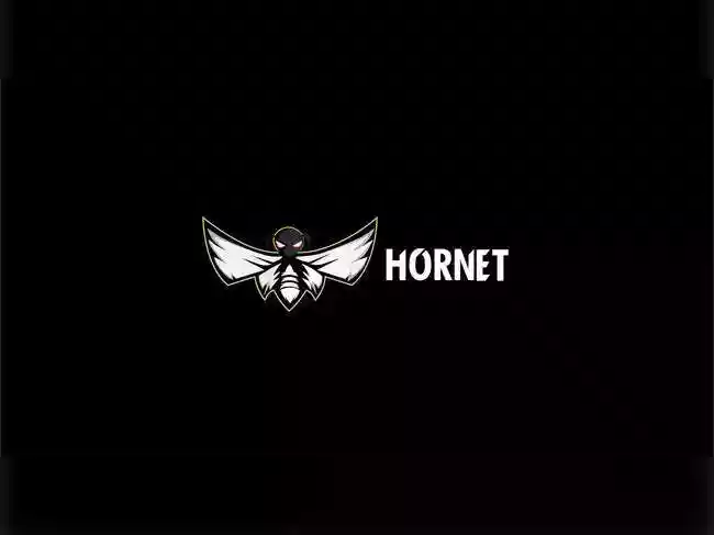Artha Venture Fund removes Hornet CEO over misconduct claims