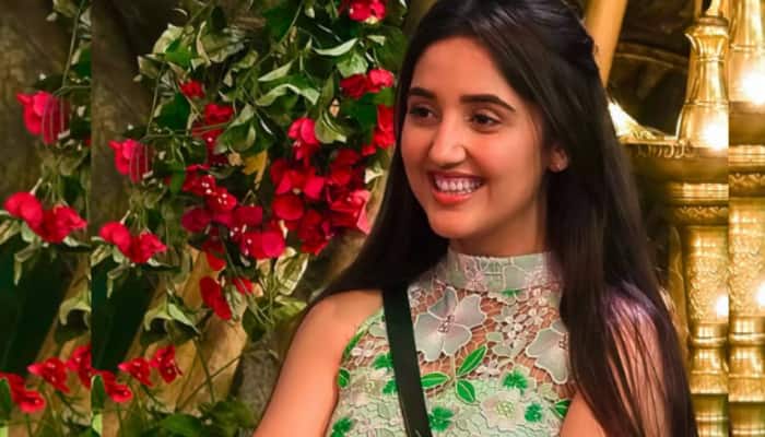 Ashnoor Kaur Faces Body-Shaming On ‘Bigg Boss 19’