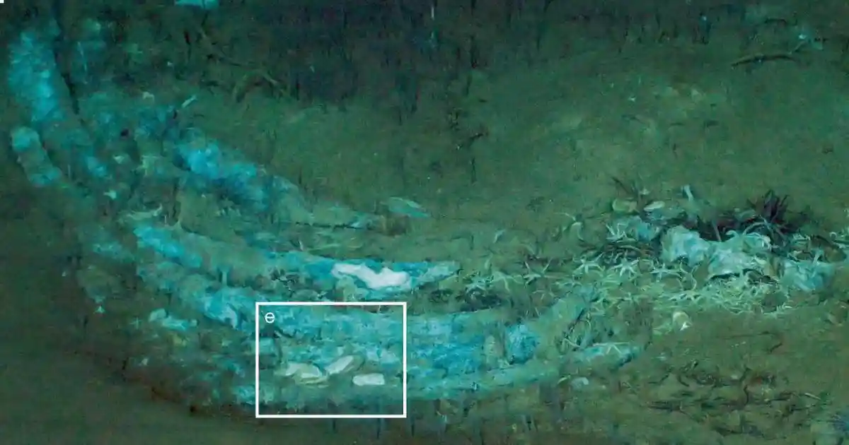 At the bottom of the Indian Ocean
