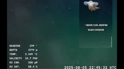 Beneath the waves lies a world as mysterious as any distant planet: the vast, uncharted depths of our oceans. Much of this underwater realm remains beyond human reach, holding secrets that continue to intrigue scientists. In a recent deep-sea expedition, researchers sent a remote-controlled camera nearly 4 kilometres into the South Atlantic Ocean. What they captured left the scientific community and the world astonished.