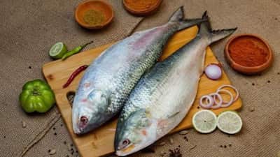 Bengal's favourite festive fish has crossed the border once again. Five more trucks carrying 25 tons of prized Hilsa reached India through the Petrapole port on Wednesday, following an earlier shipment of 12 tons that rolled in Tuesday night. Boxes were ceremonially opened at the border in the presence of Sikdar Mohammad Ashraful Rahman, Bangladesh's Deputy High Commissioner in Kolkata, and Kamlesh Saini, Manager of the Land Port Authority of India. Neither offered formal comments, but their presence signalled the friendly ties behind this annual cross-border tradition.