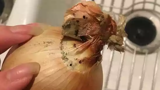 Bengaluru nutritionist explains if you should eat onions with black spots or not