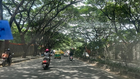 Bengaluru, often synonymous with traffic snarls and packed roads, witnessed an unusually peaceful day on Thursday, thanks to the ongoing festival. A viral Reddit post summed up the collective sigh of relief from commuters, “Today's traffic and weather was reminiscent of early 2010s Bengaluru. What took me 2 hours to travel yesterday, took me 35 minutes today. Loved how namma ooru felt today.”