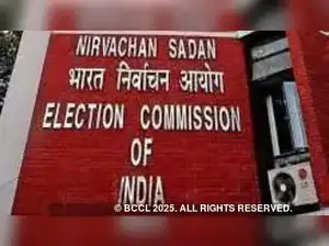 Bihar's Special Intensive Revision (SIR) sees 'family registers' and school certificates as top proof documents for voter enrolment, as per the Election Commission's guidelines. With most electors already listed in the 2003 roll, the EC allowed submission until August 31, aided by Booth Level Officers.