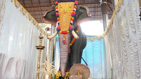 Bollywood actor Jackie Shroff joined forces with PETA India to take “a jumbo stride in kindness” and gifted a life-size mechanical elephant to the ancient Kerala temple – Nediyathali Sri Siva at Kodungallur near Thrissur. Shroff praised the initiative and said that his heart lights up when he sees “God's creations living happily”.