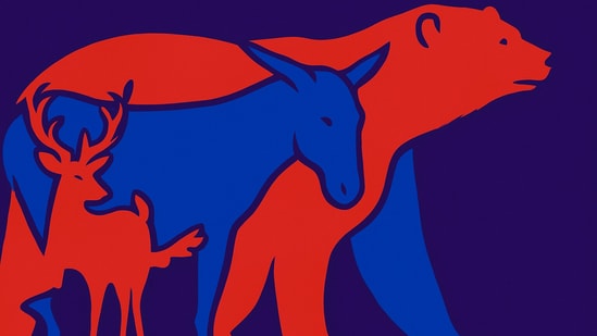 Brain teasers and optical illusions have yet again captured the internet's attention. The latest to go viral is a challenging puzzle that conceals multiple animals within a single image. The brain teaser features a polar bear, but there's a twist: more creatures are cleverly hidden inside its outline.