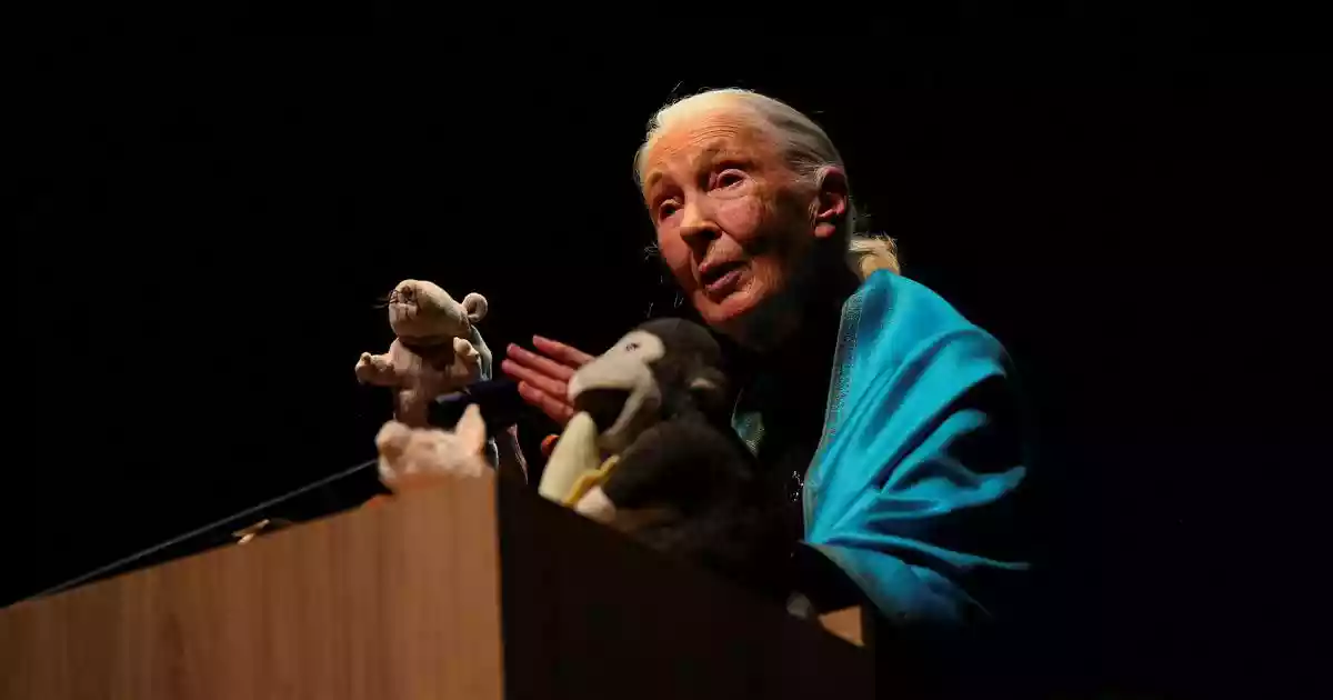 British wildlife conservationist Jane Goodall, who earned worldwide recognition as a leading expert on primates, died on Wednesday morning, the non-profit organisation she founded said. She was 91 years old. She died of natural causes in California while on a speaking tour of the United States, the Jane Goodall Institute said in a social media post.