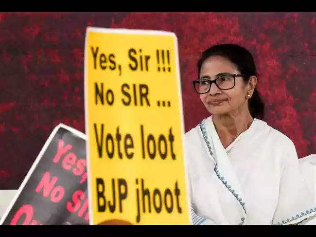 Catch them, hand them to police