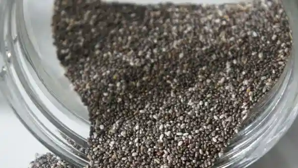 Chia seeds have become a staple in health-conscious diets worldwide, and now an AIIMS-trained gastroenterologist has explained why. In a recent video, Dr Saurabh Sethi, who has also trained at Harvard and Stanford Universities, broke down the science behind the tiny but nutrient-packed seeds and what happens when you eat them regularly for 14 days.Chia seeds have become a staple in health-conscious diets worldwide, and now an AIIMS-trained gastroenterologist has explained why. In a recent video, Dr Saurabh Sethi, who has also trained at Harvard and Stanford Universities, broke down the science behind the tiny but nutrient-packed seeds and what happens when you eat them regularly for 14 days.According to Dr Sethi, chia seeds are rich in omega-3 fatty acids, fibre, protein, calcium, magnesium, and antioxidants—making them a powerhouse of nutrition. “Just two tablespoons contain about 10 grammes of fibre, which is nearly 30 to 40 percent of your daily requirement,” he explained. “This fibre supports gut health by feeding the good gut bacteria.”