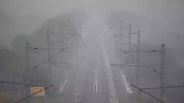 Cold wave grips Punjab