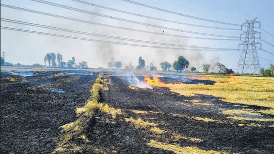 Data from HARSAC reveals a season marked by high incident counts and monitoring failures, casting doubt on the efficacy of state-led efforts to curb crop residue burning Despite repeated government assurances of robust control measures, Haryana recorded 1,828 farm fire complaints during the rabi season crop residue burning season that officially ended on May 31, exposing significant gaps in enforcement and compliance across the state.