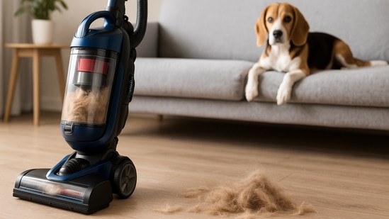 Dealing with fur everywhere? The best vacuum cleaners for pet hair actually work and help pet owners keep their homes cleaner with less effort. There was a time when vacuuming meant dragging a bulky machine around the house, hoping it would pick up at least some of the fur your pet left behind. You would empty the bin only to realize half the hair was still clinging to the carpet or couch.