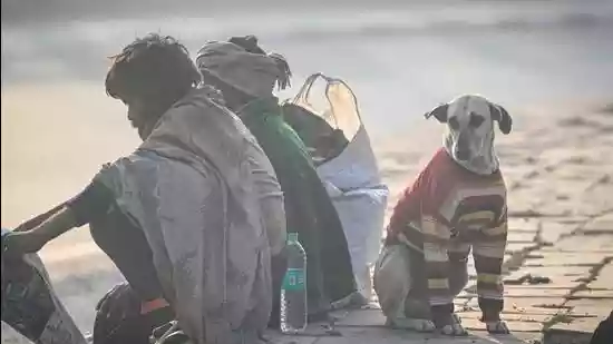 Delhi records coldest morning at 5