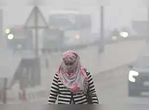 Delhi's air pollution poses a threat to the brain health of older adults. High levels of PM2.5 are linked to increased risk of dementia and Alzheimer's. Studies show a connection between pollution exposure and brain damage. Doctors in India are observing these effects in their patients. They recommend protective measures like masks and air purifiers.