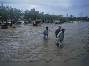 Devastating floods in Pakistan have crippled both agricultural and industrial sectors, jeopardizing economic recovery and food security. Record monsoon rains have submerged vital provinces, causing extensive damage to crops like rice, cotton, and maize.