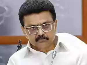 DMK's 'bent coconut tree' jibe draws retort from VCK