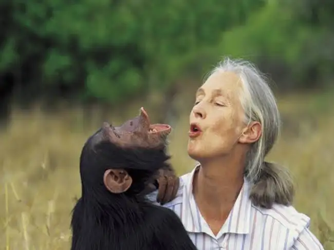 Dr. Jane Goodall, primatologist and chimpanzee expert, passed away on October 1, 2025, at 91. She was a wildlife advocate and founder of the Jane Goodall Institute. Goodall authored many books and appeared in documentaries. Her research revolutionized science and promoted global conservation. She was married twice and had one son. Her net worth was estimated at $5 million.