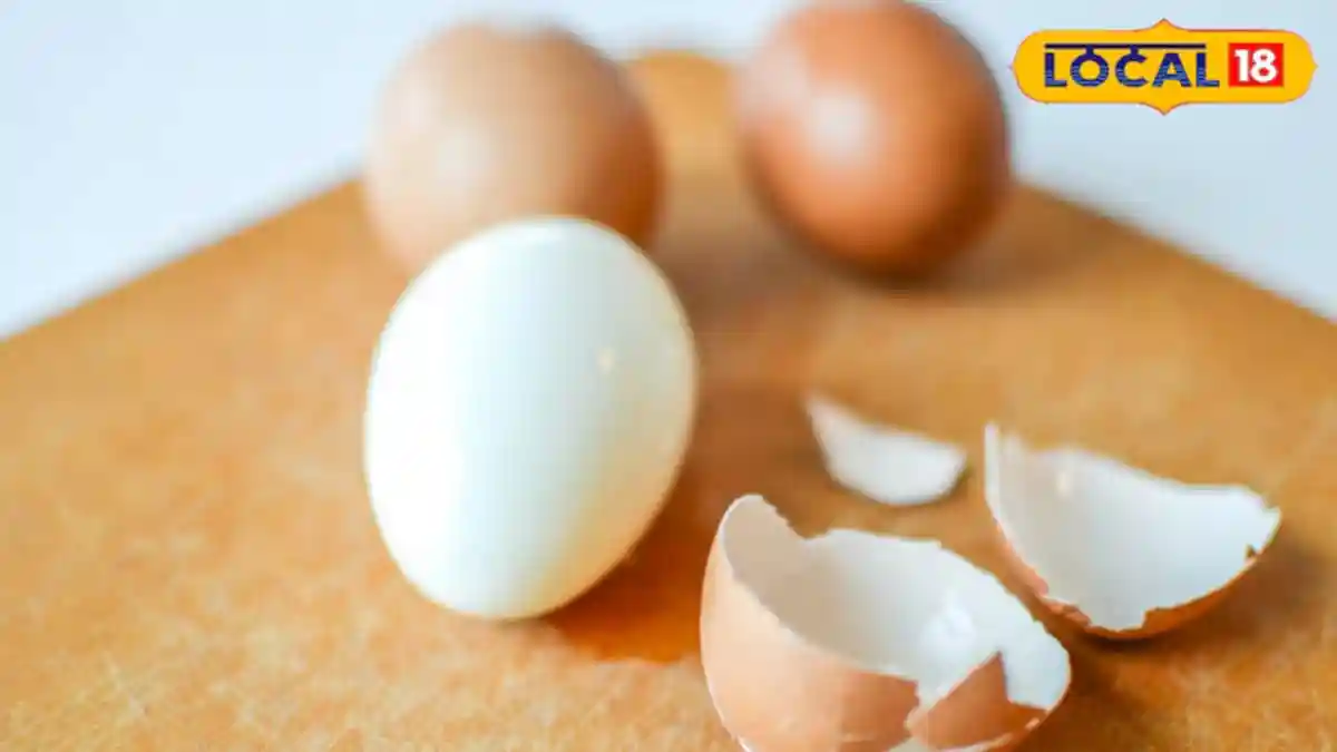 Eggs are a staple in most Indian households but not all eggs are created equal. Today, more consumers are asking an important question: what's the difference between free-range, cage-free, and cage eggs and why does it matter for our health, ethics, and the planet?