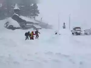 Eight skiers confirmed dead in California avalanche