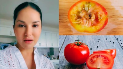 Every day, we head to the market to buy fresh vegetables, fruits, and other groceries. While many items look and taste fresh, sometimes we encounter produce that's spoiled or rotten. This was the case recently for actress Sunny Leone, who shared a shocking video on her Instagram.