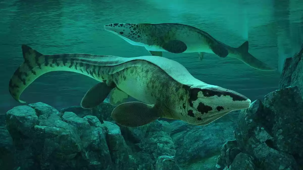 Fearsome dinosaur-era marine reptile was T