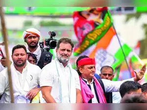 Following a contentious tweet linking bidis and Bihar, which sparked outrage from political parties, including ally RJD, the Congress party's Kerala unit social media head resigned. The controversial post, deemed a misfired attempt to connect tobacco tax hikes with the Bihar election, led to apologies and a decision to revamp the Kerala Congress social media wing after backlash.