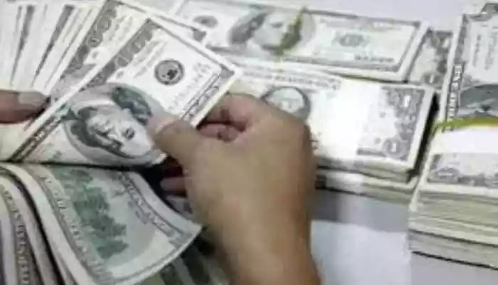 Forex Reserves Decline USD 1