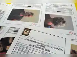 French prosecutors announce special team for Epstein files