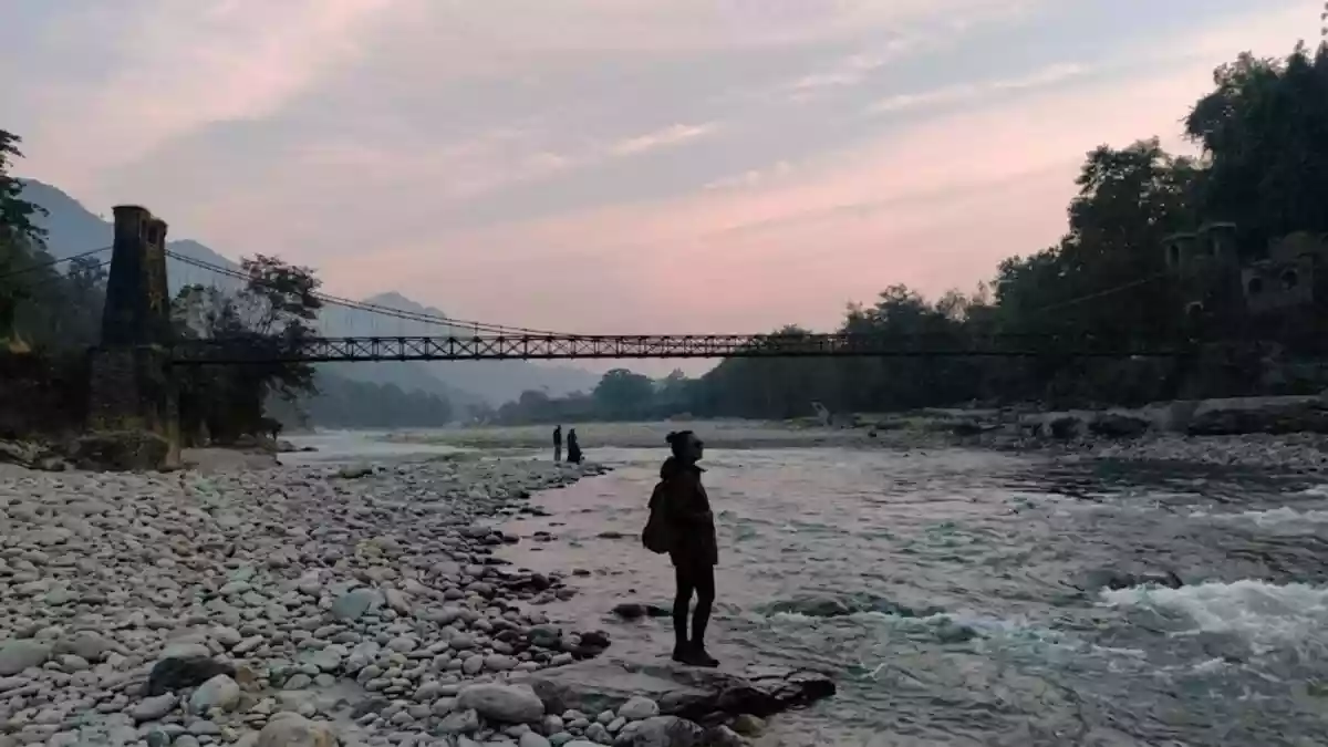 From Doomscrolling To Dawn Safaris