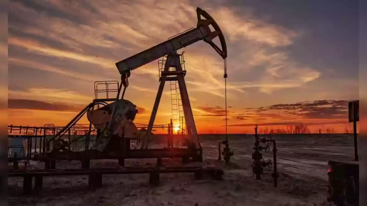 Govt Waives Customs Duty On Key Petrochemical Imports Till June 30 Amid Middle East Tension