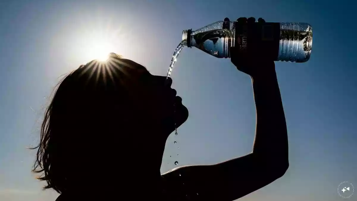 Heatwave Safety Tips