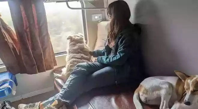 How to book a ticket for your pet on Indian Railways