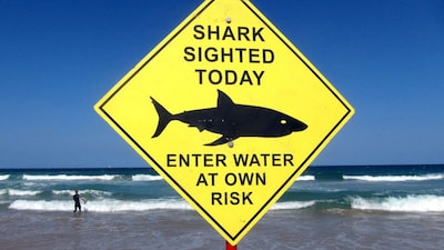 In a suspected attack by a ‘large shark', a man died on a beach in Sydney. As per Australia's New South Wales police, the emergency services pulled the man's body out of the morning surf onto the shore at Long Reef Beach. The incident happened on Saturday, prompting the closure of several beaches. The official also added that parts of a surfboard have been recovered and taken for expert examination.
