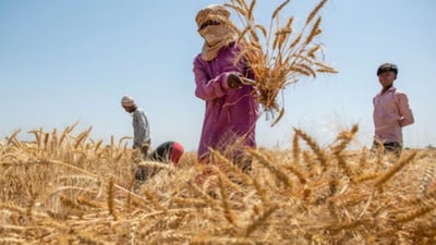 In conversations about economic growth, usually only two components of growth are talked about. Those are capital and labour. Capital is the investment in land, machinery and tools that labour then uses to produce output. The greater the output, the higher the GDP and hence, richer the country.