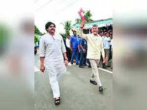 In letters to finance minister Nirmala Sitharaman, commerce and industry minister Piyush Goyal, and fisheries minister Rajeev Ranjan Singh, Naidu on Monday made a case for bank support for exporters and aqua companies in the form of a 240-day moratorium on loan and interest repayments, interest subsidies and a temporary waiver of the 5% goods and services tax (GST) on frozen shrimp.