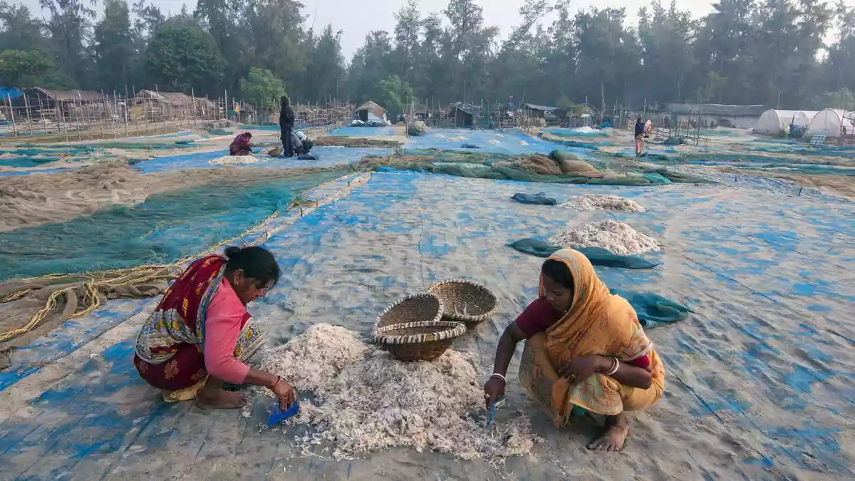 India re-included in list of countries that can export aquaculture products to EU from September 2026