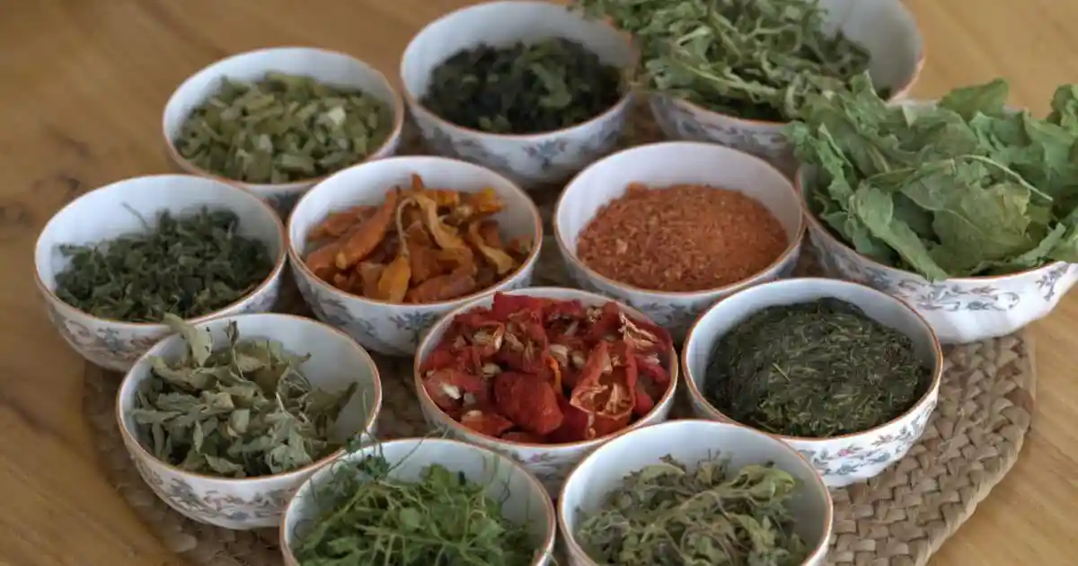 Ladakh's cold desert climate is marked by low rainfall, thin air, intense solar radiation, and harsh winters. Amidst this barrenness, wild edible plants have sustained, adapting with features like waxy or hairy leaves that minimise water loss and enhance hardiness, to survive in this region located at an altitude of 2,800-5,500 metres above sea level.Ladakh's cold desert climate is marked by low rainfall, thin air, intense solar radiation, and harsh winters. Amidst this barrenness, wild edible plants have sustained, adapting with features like waxy or hairy leaves that minimise water loss and enhance hardiness, to survive in this region located at an altitude of 2,800-5,500 metres above sea level.“The climatic conditions contribute to a short growing season during which wild plants such as seabuckthorn (Hippophae rhamnoides), wild rhubarb (Rheum australe), and high-altitude herbs like caraway (Carum carvi) and somlata (Ephedra gerardiana) store high levels of vitamins, antioxidants, and minerals. In a land with limited farming, these wild edible plants are vital for people, livestock, and cultural heritage,” says Bilal Mir, senior assistant professor, Department of Botany, University of Kashmir.