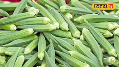 Ladyfinger, also known as okra, is a staple in many Indian kitchens. Rich in vitamin C, vitamin K, folate, fibre, magnesium, and antioxidants, it is widely considered beneficial for digestion, immunity, and blood sugar control. However, despite its health benefits, ladyfinger is not suitable for everyone. Experts warn that people with certain medical conditions should avoid or limit its consumption to prevent potential health complications.