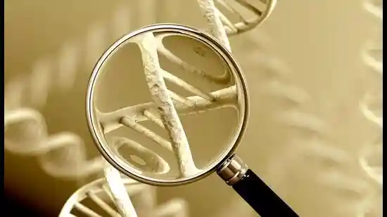 Last month, in a tiny room in Manchester, UK, a niche group of biology scientists gathered to discuss if they needed to restrict research in an emerging technology that might affect humans and environment within a decade or two in dramatic, unexpected ways.Last month, in a tiny room in Manchester, UK, a niche group of biology scientists gathered to discuss if they needed to restrict research in an emerging technology that might affect humans and environment within a decade or two in dramatic, unexpected ways.Mirror life is a kind of a synthetic cell in which scientists flip an organism's DNA using advanced experiments. They turn these cells from homochiral where DNA and RNA are made from right-handed nucleotides (molecules that are the building blocks of genetic matter such as DNA and RNA) to left-handed ones, to create a new synthetic cell that is a mirror clone of the living cell. This flipping of DNA to create a mirror cell could, some scientists believe, could likely help create miracle drugs to treat HIV or Alzheimer's.