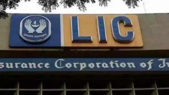 LIC declares dividend of Rs 10