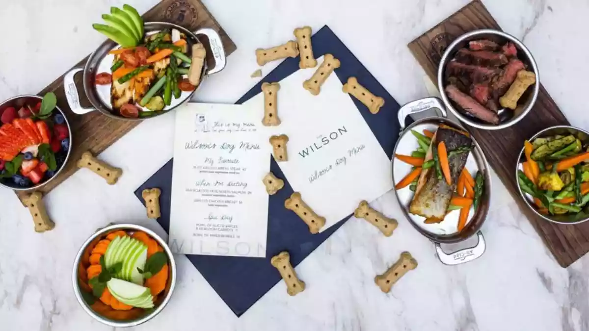 Luxury Dining Goes Pet-Friendly