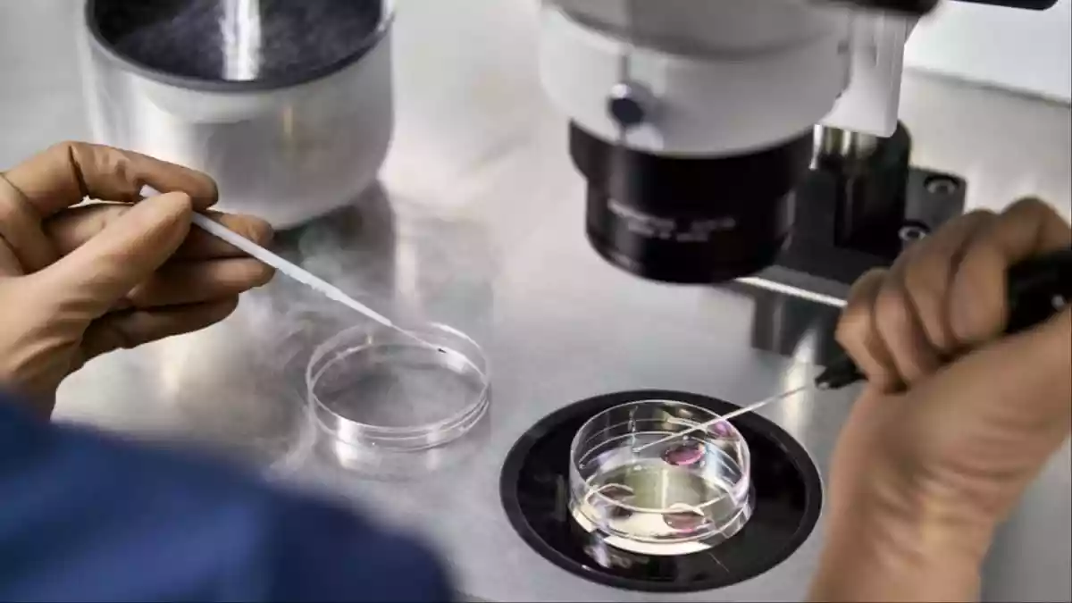 Many young professionals today are prioritizing careers and fulfilling their dreams before beginning their journey into parenthood. Thanks to advancements in reproductive science, this balance is now possible. Egg freezing, or oocyte cryopreservation, is a process where a woman's eggs are retrieved, frozen, and stored for future use in in-vitro fertilization (IVF). This technology offers women the freedom to preserve their fertility and plan parenthood without compromising on professional or personal goals.