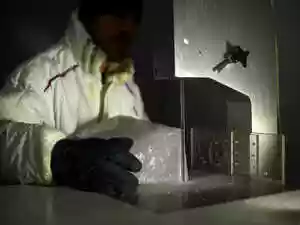 Miracle material's hidden quantum power could transform future electronics